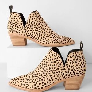 Dolce Vita Sonnie Leopard print calf skin bootie